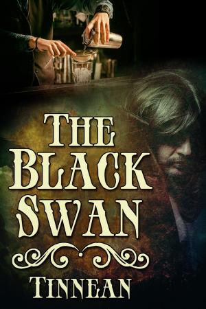 Book cover of The Black Swan