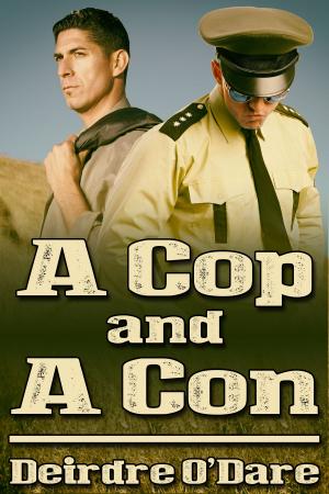 Cover of the book A Cop and a Con by Matthew J. Metzger