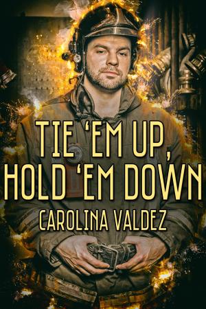 Cover of the book Tie 'Em Up, Hold 'Em Down by Deirdre O’Dare
