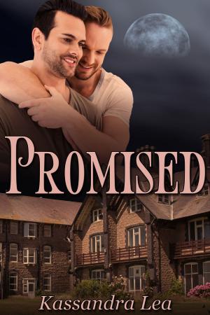 Cover of the book Promised by J.M. Snyder