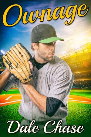 Cover of the book Ownage by Laura L. Smith