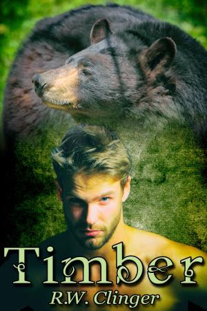 Cover of the book Timber by Kris T. Bethke