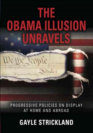 Cover of the book THE OBAMA ILLUSION UNRAVELS by Jay B. Young PhD