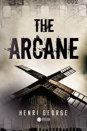 Cover of the book The Arcane by Sandy Olson