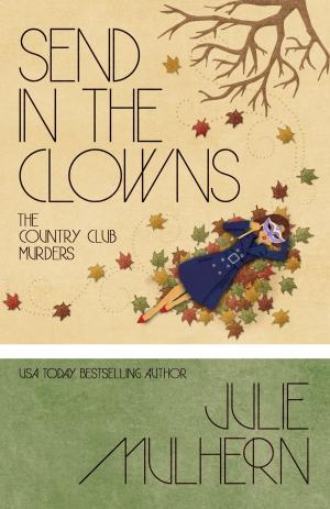 Cover of the book SEND IN THE CLOWNS by Susan M. Boyer