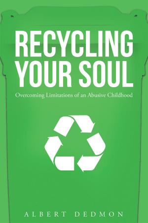 Cover of the book Recycling Your Soul: Overcoming Limitations of an Abusive Childhood by David Kennedy