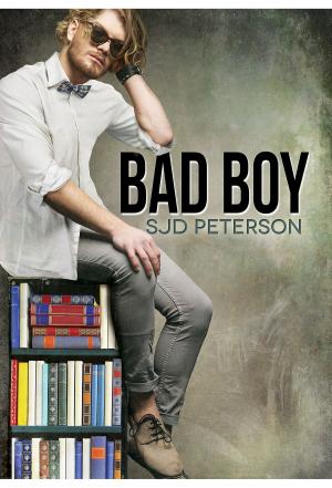 Cover of the book Bad Boy by Susan Laine