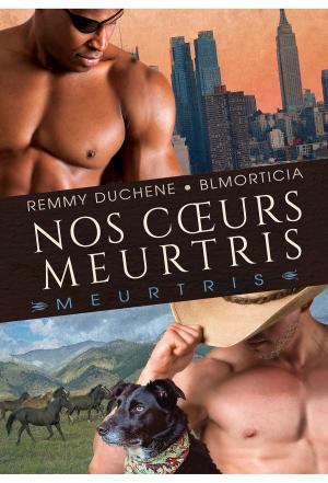 Cover of the book Nos cœurs meurtris by Caitlin Ricci, Caitlin Ricci
