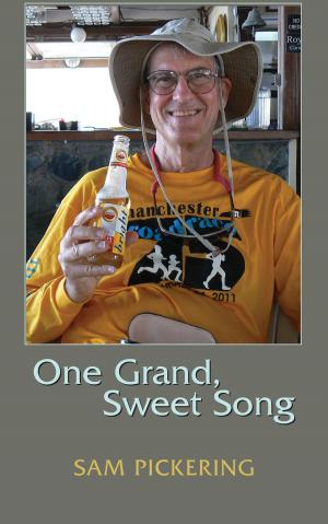 Cover of the book One Grand, Sweet Song by David R. Pichaske
