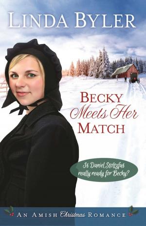 Cover of the book Becky Meets Her Match by Phyllis Good