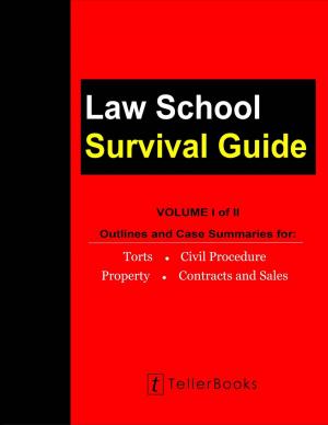 Cover of the book Law School Survival Guide (Volume I of II): by Ibrahim Ghabour, Esq.