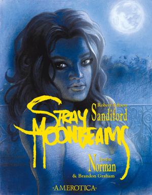 Cover of the book Stray Moonbeams by Rick Geary