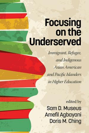 Cover of the book Focusing on the Underserved by Rebekah Cordova