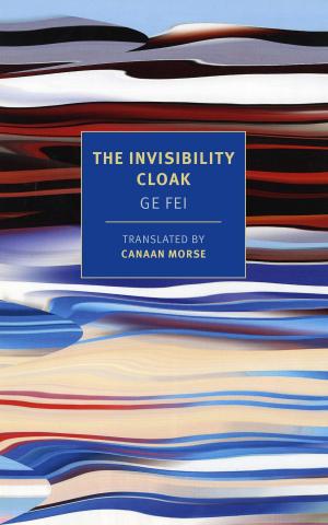 Cover of the book The Invisibility Cloak by J.R. Ackerley