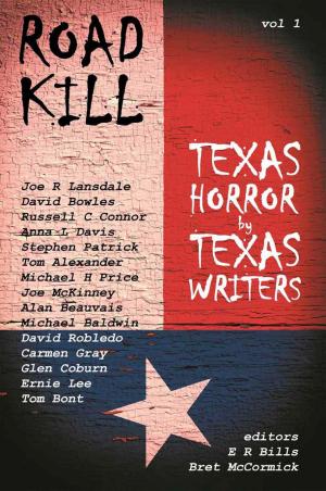 Cover of the book Road Kill: Texas Horror by Texas Writers by Sara C. Roethle