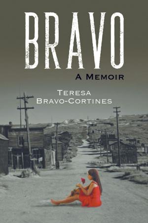 Cover of the book Bravo by Lynne Pickering