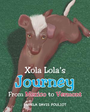 Cover of the book Xola Lola's Journey From Mexico to Vermont by Ilene Goff Kaufmann