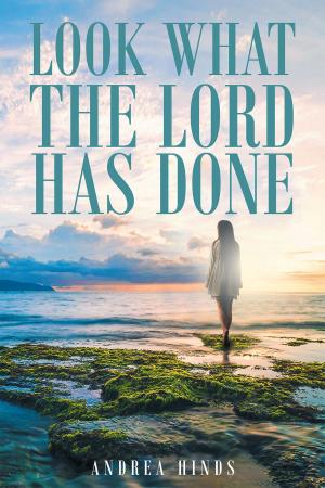 Cover of the book Look What The Lord Has Done by Jamie R. Nalley
