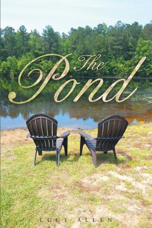 Cover of the book The Pond by Larry Bricker