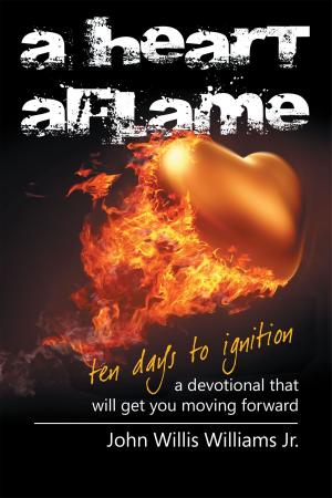 Cover of the book A Heart Aflame, Ten Days to Ignition A Devotional That Will Get You Moving Forward by Eric A. Stephens