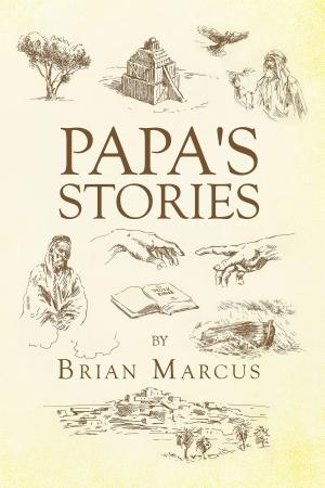 bigCover of the book Papa's Stories by 