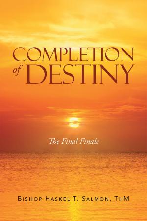 Cover of the book Completion of Destiny: The Final Finale by Dave Lentz
