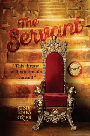 Cover of the book The Servant by zekeriya Baskel