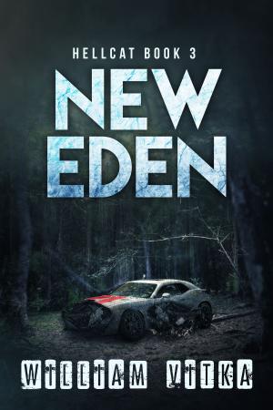 Cover of the book New Eden by TL Schaefer