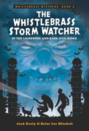 Cover of the book The Whistlebrass Storm Watcher by James Wolanyk
