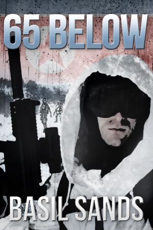 Cover of the book 65 Below by C.L. Hernandez, Monique Happy