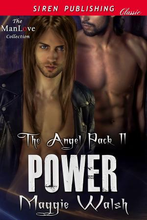 Cover of the book Power by E.A. Reynolds