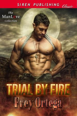 Cover of the book Trial by Fire by Lizzie Vega