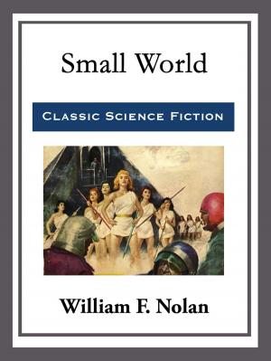 Cover of the book Small World by Lord Dunsany