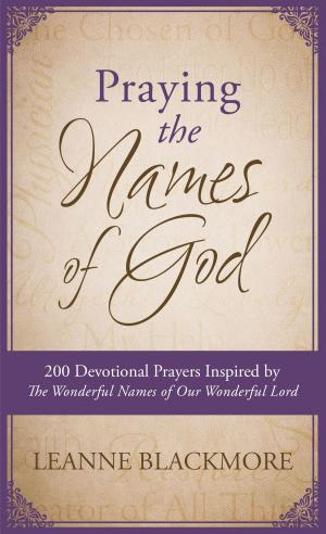Cover of the book Praying the Names of God by Barbara Tifft Blakey, Mary Davis, Darlene Franklin, Cynthia Hickey, Maureen Lang, Debby Lee, Donna Schlachter, Connie Stevens, Pegg Thomas