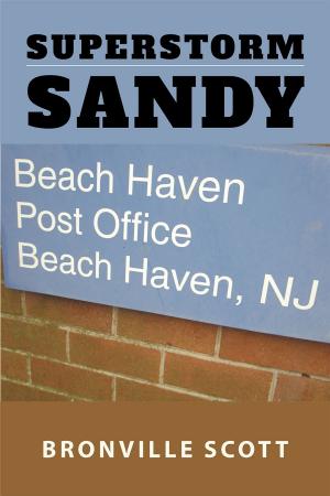 Cover of the book Superstorm Sandy by Jeffrey Scott Hansen