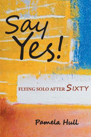 Cover of the book SAY YES! Flying Solo After Sixty by Barbara Branic Davis