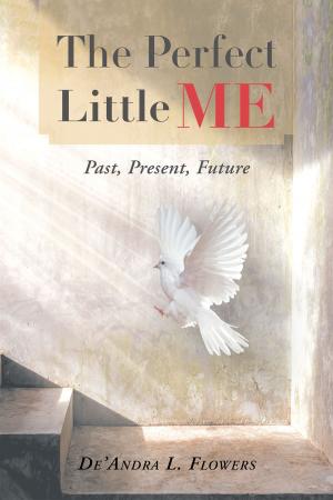 Cover of the book The Perfect Little Me: Past, Present, Future by Edward John-Andrew