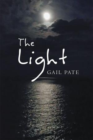 Cover of the book The Light by Bev Magee