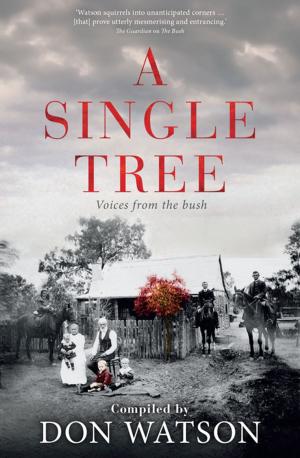 Cover of the book A Single Tree by Sigmund Freud