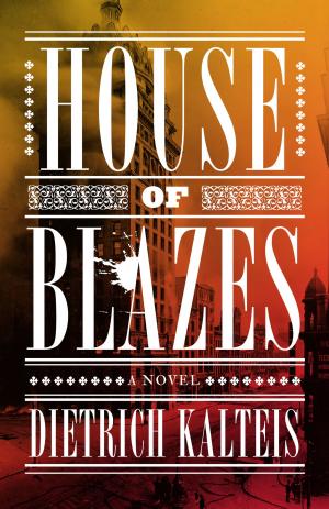 Cover of the book House of Blazes by Deirdre Dwyer