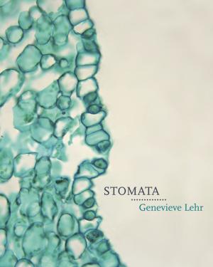 Cover of the book Stomata by Margaret Avison