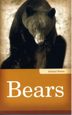 Cover of the book Bears by Frances Itani