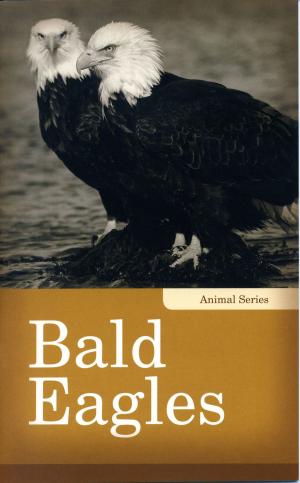 Cover of the book Bald Eagles by Gail Anderson-Dargatz