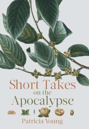 bigCover of the book Short Takes on the Apocalypse by 