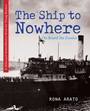 Cover of the book The Ship to Nowhere by Rosemary McCarney