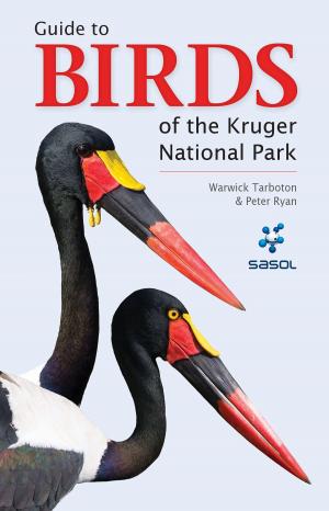 Cover of the book Guide to Birds of the Kruger National Park by Mark Winkler