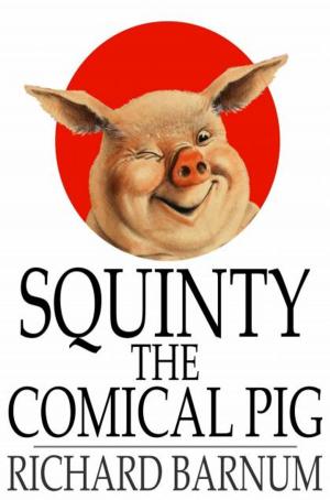 Cover of the book Squinty the Comical Pig by Aristophanes