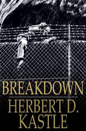 Cover of the book Breakdown by Amanda Brenner