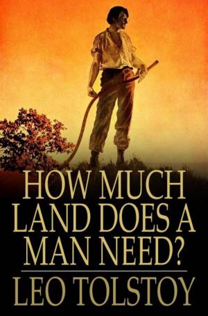 Cover of the book How Much Land Does a Man Need? by Elmer Russell Gregor