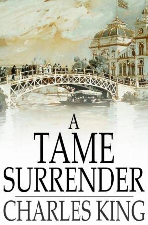 bigCover of the book A Tame Surrender by 